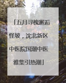 五月寻槐邂逅怪坡，沈北新区中医院国潮中医雅集引热潮