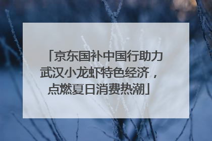 京东国补中国行助力武汉小龙虾特色经济，点燃夏日消费热潮