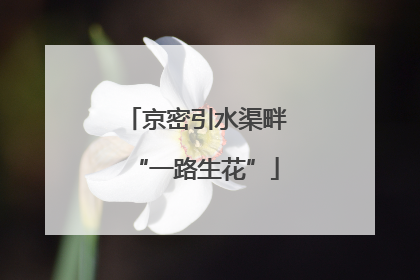 京密引水渠畔“一路生花”