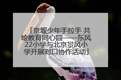 京堰少年手拉手 共绘教育同心圆——东风22小学与北京景风小学开展对口协作活动