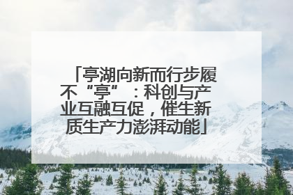 亭湖向新而行步履不“亭”：科创与产业互融互促，催生新质生产力澎湃动能