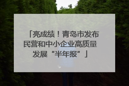 亮成绩！青岛市发布民营和中小企业高质量发展“半年报”