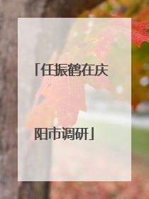 任振鹤在庆阳市调研