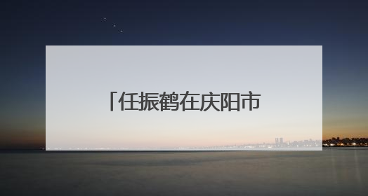 任振鹤在庆阳市调研时强调 坚决守牢底线任务 加快推动老区振兴