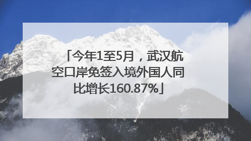 今年1至5月，武汉航空口岸免签入境外国人同比增长160.87%
