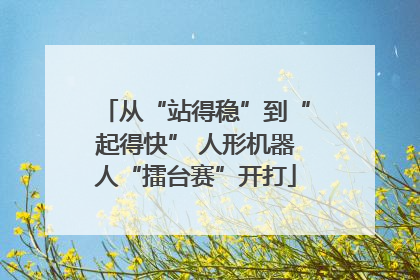 从“站得稳”到“起得快” 人形机器人“擂台赛”开打
