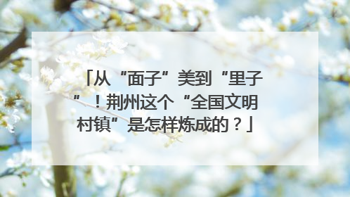 从“面子”美到“里子”！荆州这个“全国文明村镇”是怎样炼成的？