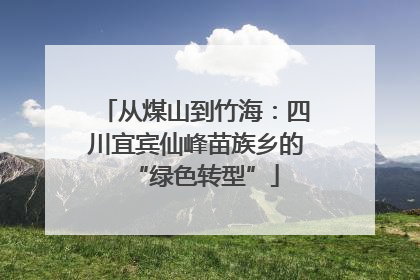 从煤山到竹海：四川宜宾仙峰苗族乡的“绿色转型”