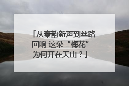 从秦韵新声到丝路回响 这朵“梅花”为何开在天山？