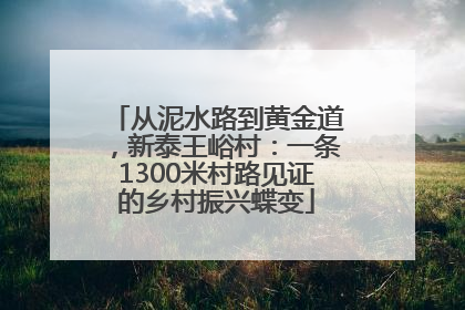 从泥水路到黄金道，新泰王峪村：一条1300米村路见证的乡村振兴蝶变