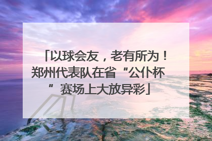 以球会友，老有所为！郑州代表队在省“公仆杯”赛场上大放异彩