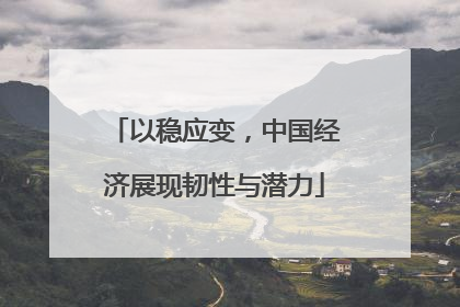 以稳应变，中国经济展现韧性与潜力