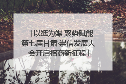 以纸为媒 聚势赋能 第七届甘肃·崇信发展大会开启招商新征程