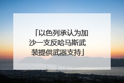 以色列承认为加沙一支反哈马斯武装提供武器支持