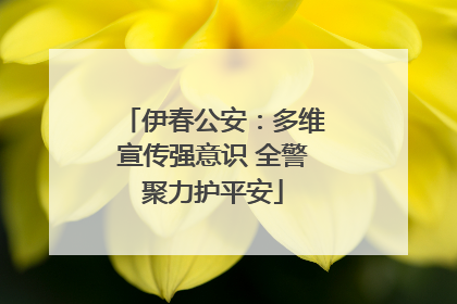伊春公安：多维宣传强意识 全警聚力护平安