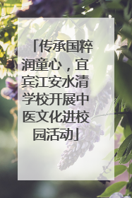 传承国粹润童心，宜宾江安水清学校开展中医文化进校园活动