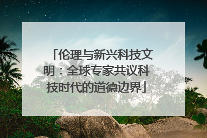 伦理与新兴科技文明：全球专家共议科技时代的道德边界