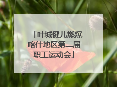 叶城健儿燃爆喀什地区第二届职工运动会