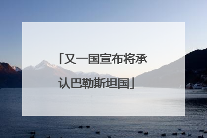 又一国宣布将承认巴勒斯坦国