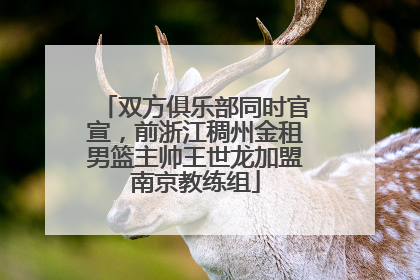 双方俱乐部同时官宣，前浙江稠州金租男篮主帅王世龙加盟南京教练组