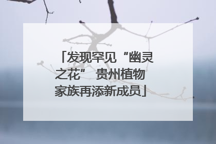 发现罕见“幽灵之花” 贵州植物家族再添新成员