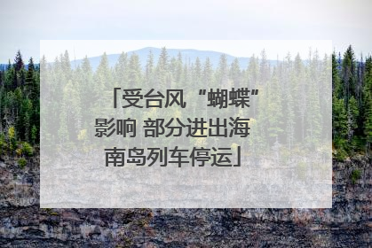 受台风“蝴蝶”影响 部分进出海南岛列车停运