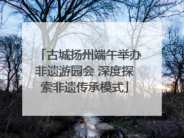 古城扬州端午举办非遗游园会 深度探索非遗传承模式