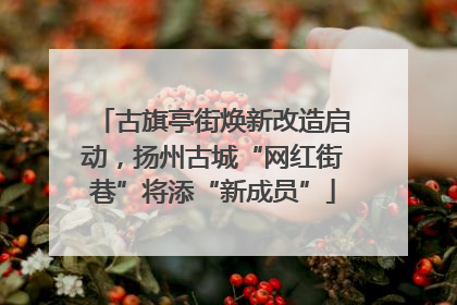古旗亭街焕新改造启动，扬州古城“网红街巷”将添“新成员”