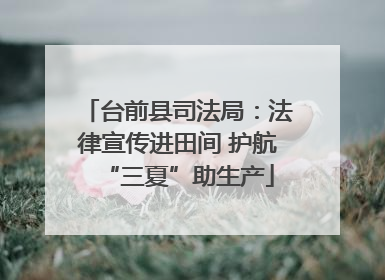 台前县司法局：法律宣传进田间 护航“三夏”助生产