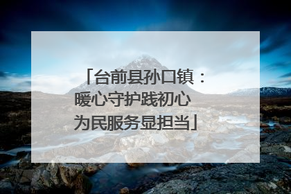 台前县孙口镇：暖心守护践初心 为民服务显担当