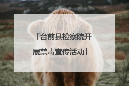 台前县检察院开展禁毒宣传活动
