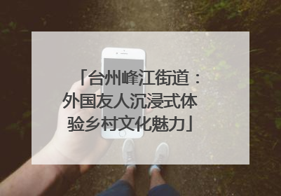 台州峰江街道：外国友人沉浸式体验乡村文化魅力