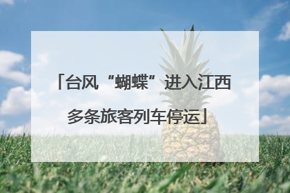 台风“蝴蝶”进入江西 多条旅客列车停运