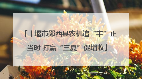 十堰市郧西县农机追“丰”正当时 打赢“三夏”促增收