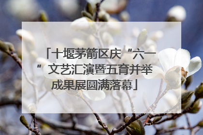 十堰茅箭区庆“六一”文艺汇演暨五育并举成果展圆满落幕