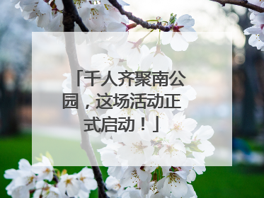 千人齐聚南公园，这场活动正式启动！