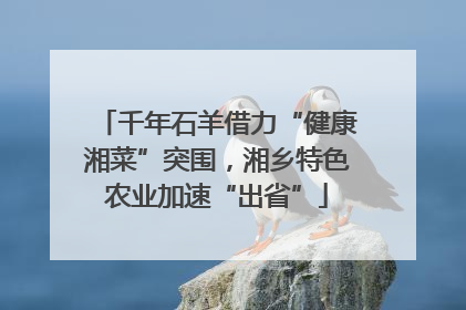 千年石羊借力“健康湘菜”突围，湘乡特色农业加速“出省”