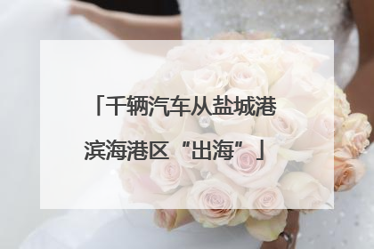 千辆汽车从盐城港滨海港区“出海”