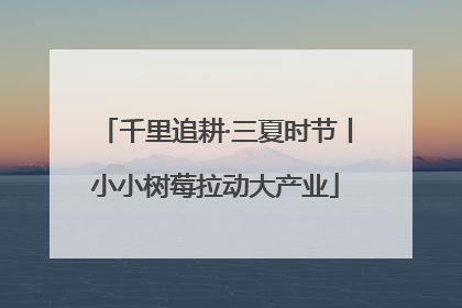 千里追耕·三夏时节丨小小树莓拉动大产业