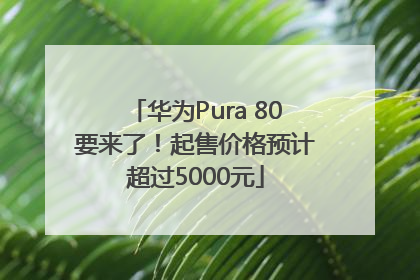 华为Pura 80要来了！起售价格预计超过5000元
