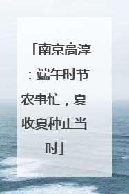 南京高淳：端午时节农事忙，夏收夏种正当时
