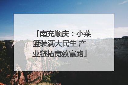 南充顺庆：小菜篮装满大民生 产业链拓宽致富路