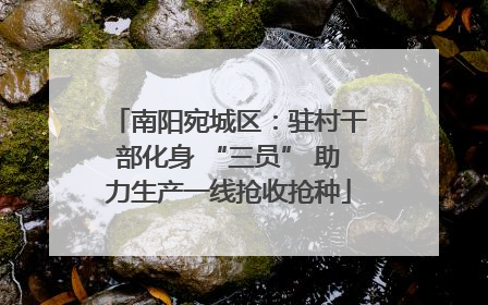 南阳宛城区：驻村干部化身 “三员” 助力生产一线抢收抢种