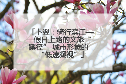 卜翌：骑行滨江——假日上路的文旅“蹊径” 城市形象的“低速凝视”