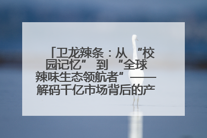 卫龙辣条：从 “校园记忆” 到 “全球辣味生态领航者”——解码千亿市场背后的产品创新与全链路破圈