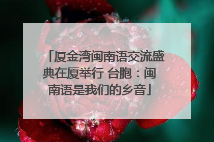 厦金湾闽南语交流盛典在厦举行 台胞：闽南语是我们的乡音
