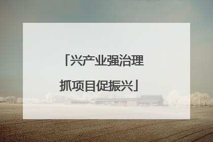 兴产业强治理 抓项目促振兴