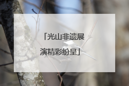 光山非遗展演精彩纷呈