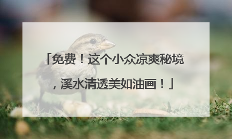 免费！这个小众凉爽秘境，溪水清透美如油画！