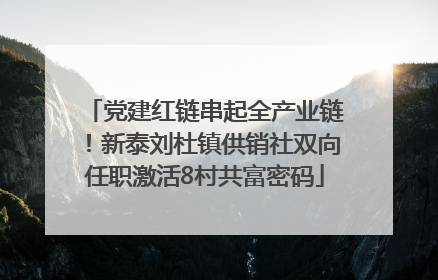 党建红链串起全产业链！新泰刘杜镇供销社双向任职激活8村共富密码